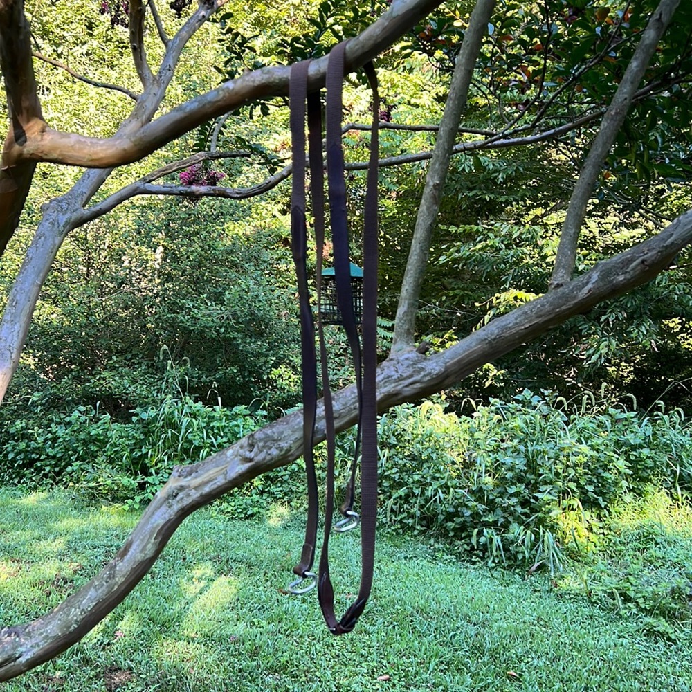 Horse bridle reins